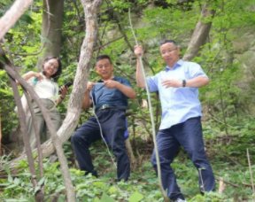 陕西秦岭发现“野生猕猴桃树王”，专家考察后对此有何表示？