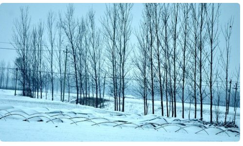 千山暮雪的诗句