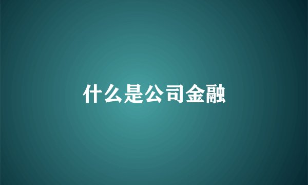 什么是公司金融