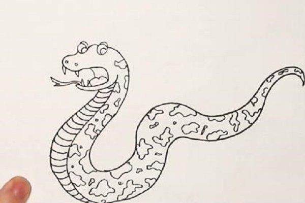 怎么画蛇