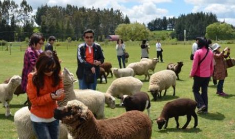 体验生活是什么意思？