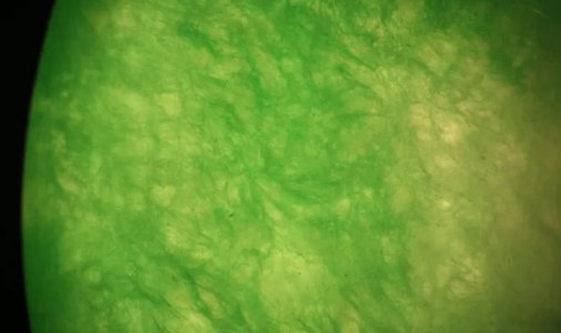 均匀分布的英文