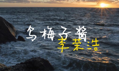 李荣浩乌梅子酱讲的是什么意思