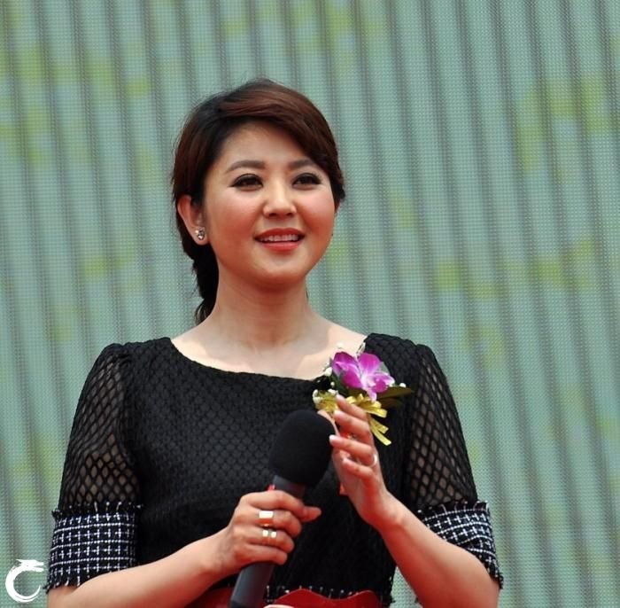 南飞的大雁 歌词