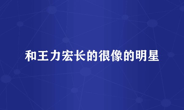 和王力宏长的很像的明星