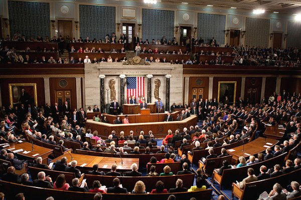 议会由什么组成