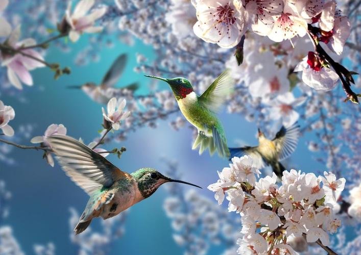 鸟鸣的古诗词有哪些