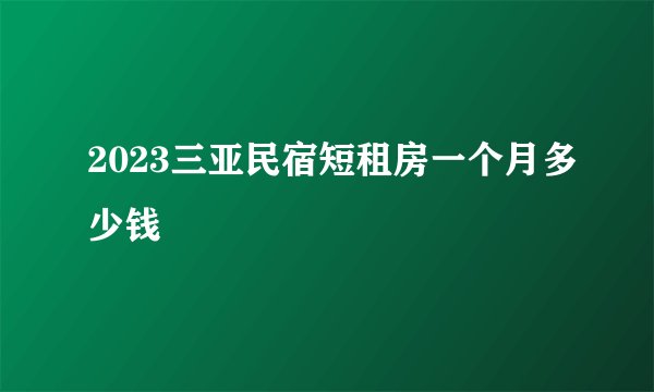 2023三亚民宿短租房一个月多少钱