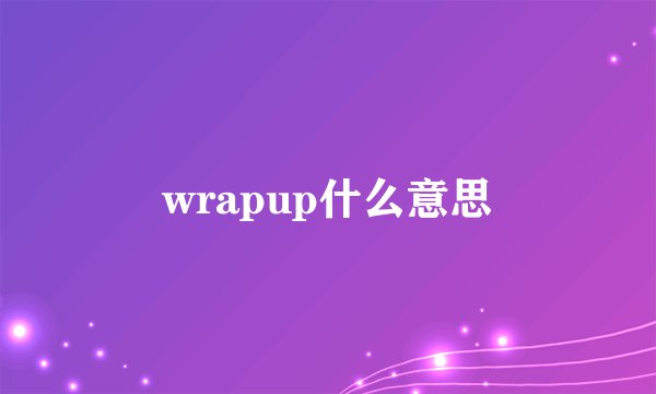 wrapup什么意思