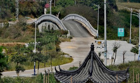 0775是哪个城市的区号