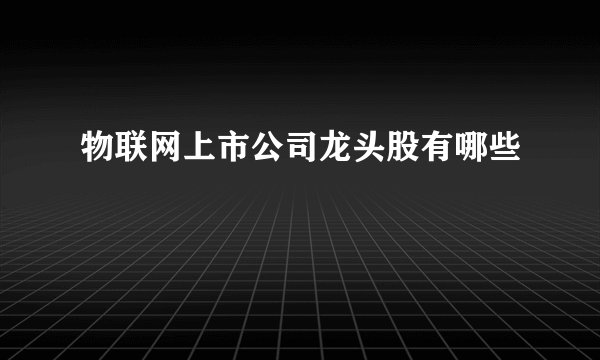 物联网上市公司龙头股有哪些