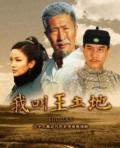 我叫王土地的剧情简介