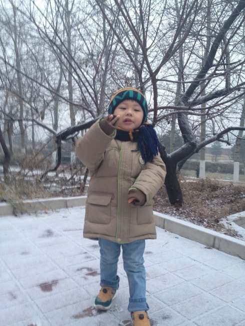 雨落落雨的主要作品