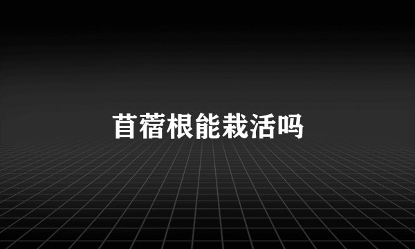 苜蓿根能栽活吗