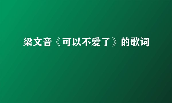 梁文音《可以不爱了》的歌词