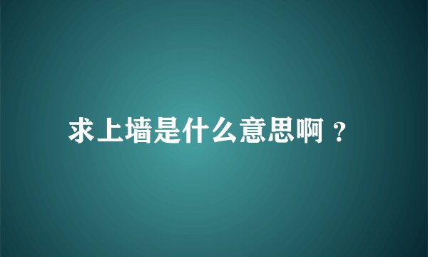 求上墙是什么意思啊 ？