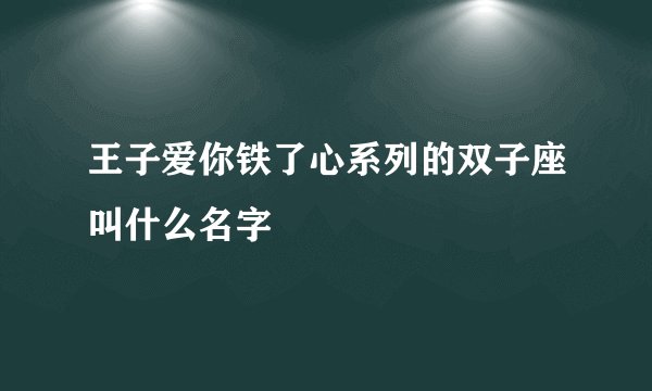 王子爱你铁了心系列的双子座叫什么名字