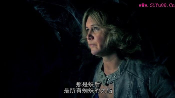 巨蛛怪的剧情简介