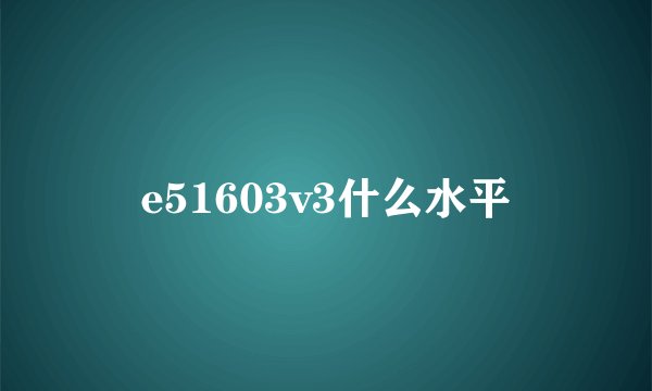 e51603v3什么水平