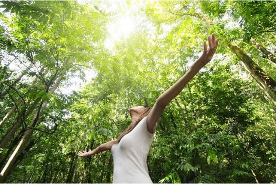 新鲜的空气的英文