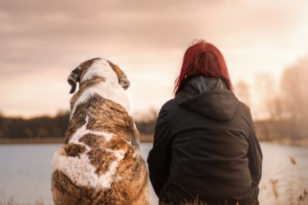 和父母三观不合该怎么办?