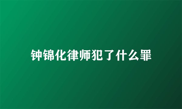 钟锦化律师犯了什么罪