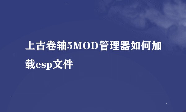上古卷轴5MOD管理器如何加载esp文件