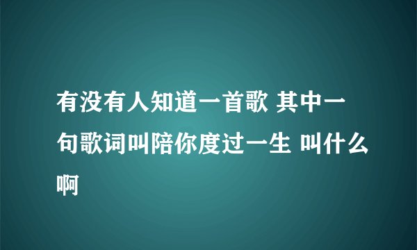 有没有人知道一首歌 其中一句歌词叫陪你度过一生 叫什么啊