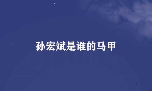 孙宏斌是谁的马甲