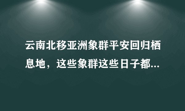 云南北移亚洲象群平安回归栖息地，这些象群这些日子都途径了哪些地方？