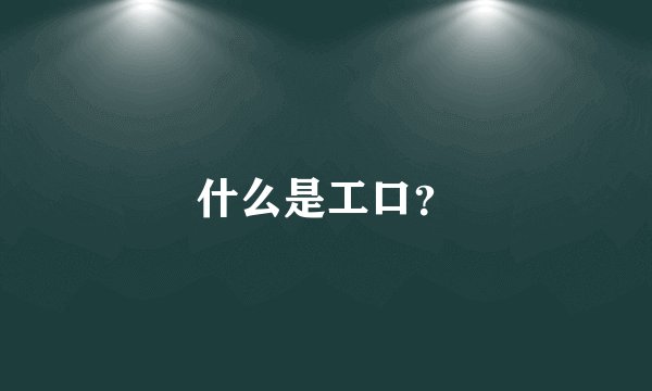 什么是工口？