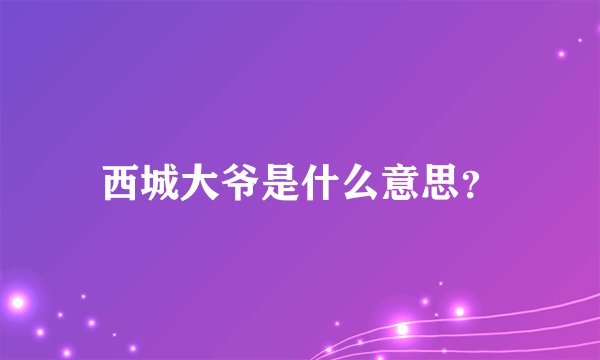 西城大爷是什么意思？