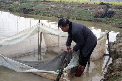中国劳动咨询网的介绍