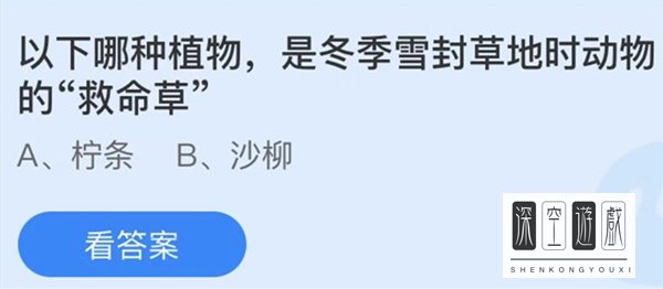 以下哪种植物是冬季雪封草地时动物的救命草