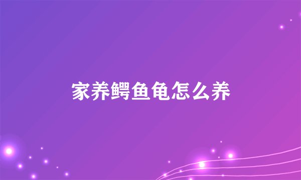 家养鳄鱼龟怎么养