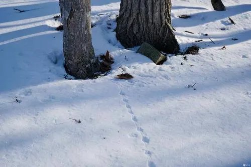 痕的拼音和组词和部首