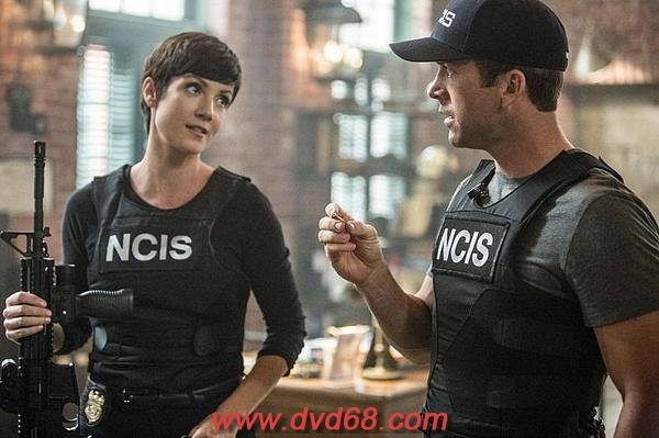 海军罪案调查处第一季的介绍