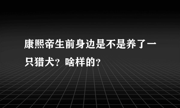 康熙帝生前身边是不是养了一只猎犬？啥样的？