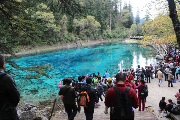 33人参团游九寨沟却连景区都没看到，旅行社是否存在欺诈行为？