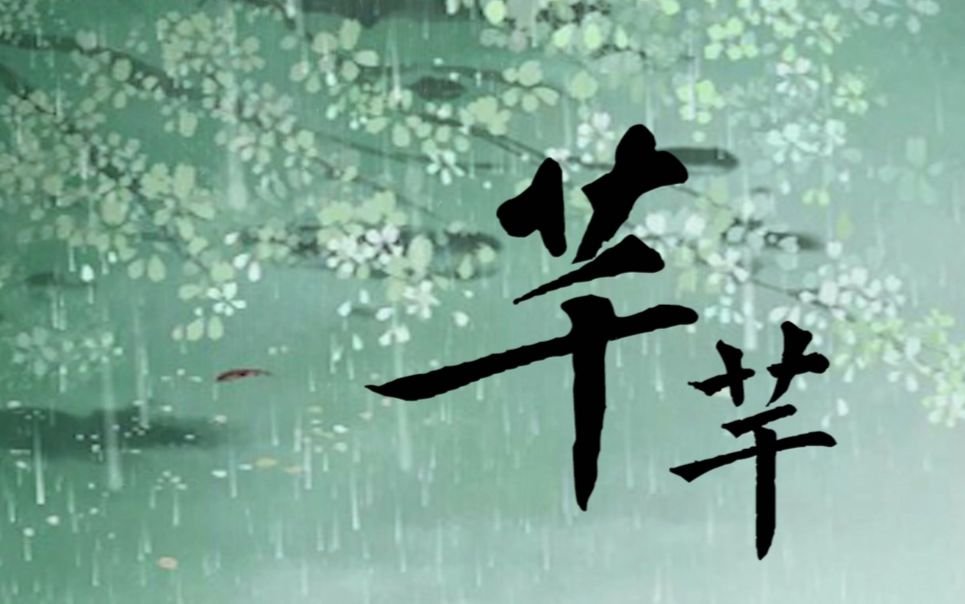 回音哥《芊芊》的歌词是什么？