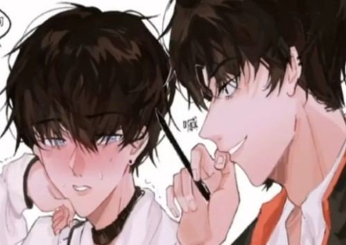 乐可的家教是谁写的？