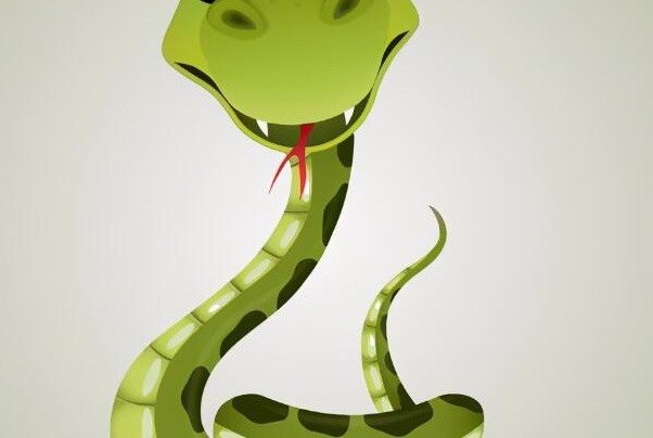 二道贩子指什么生肖