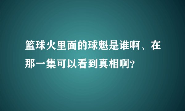 篮球火里面的球魁是谁啊、在那一集可以看到真相啊？