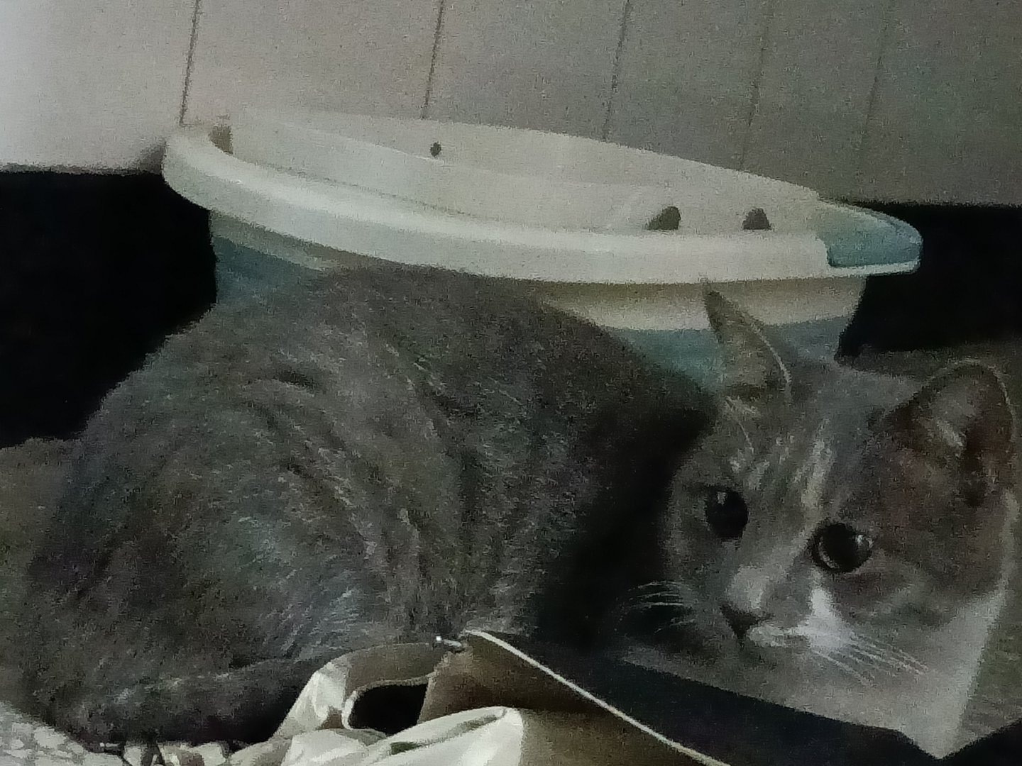 大学宿舍有没有必要买床帘呢？