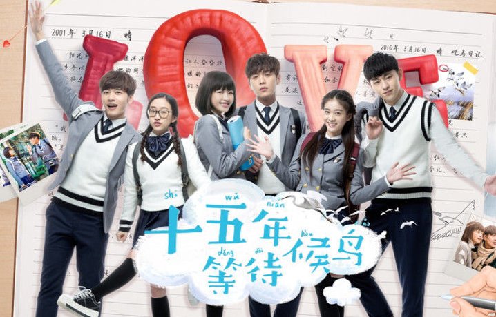 十五年等待候鸟青春无悔结局