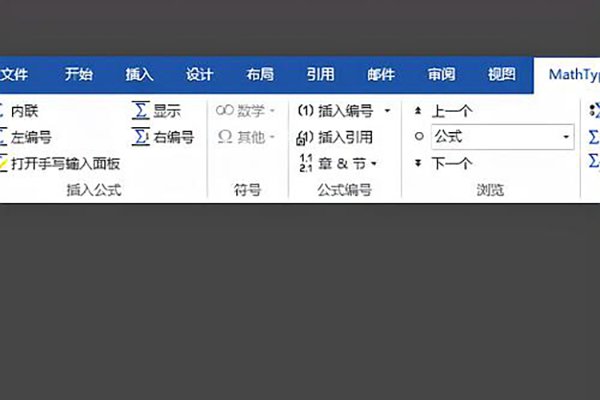 为什么在公式编辑器3.0中无法编辑公式？