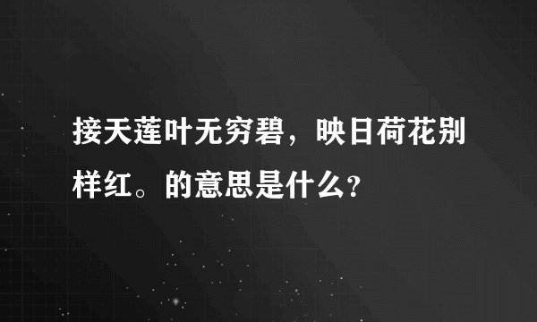 接天莲叶无穷碧，映日荷花别样红。的意思是什么？