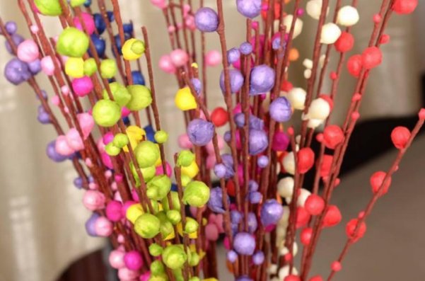 银柳干养好还是水培好