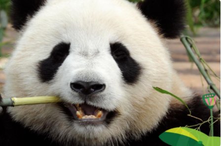 四川话“热你”的意思