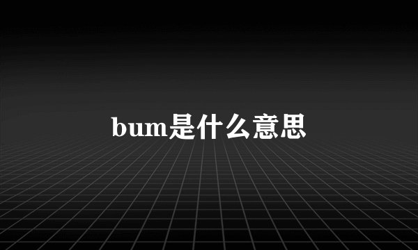 bum是什么意思